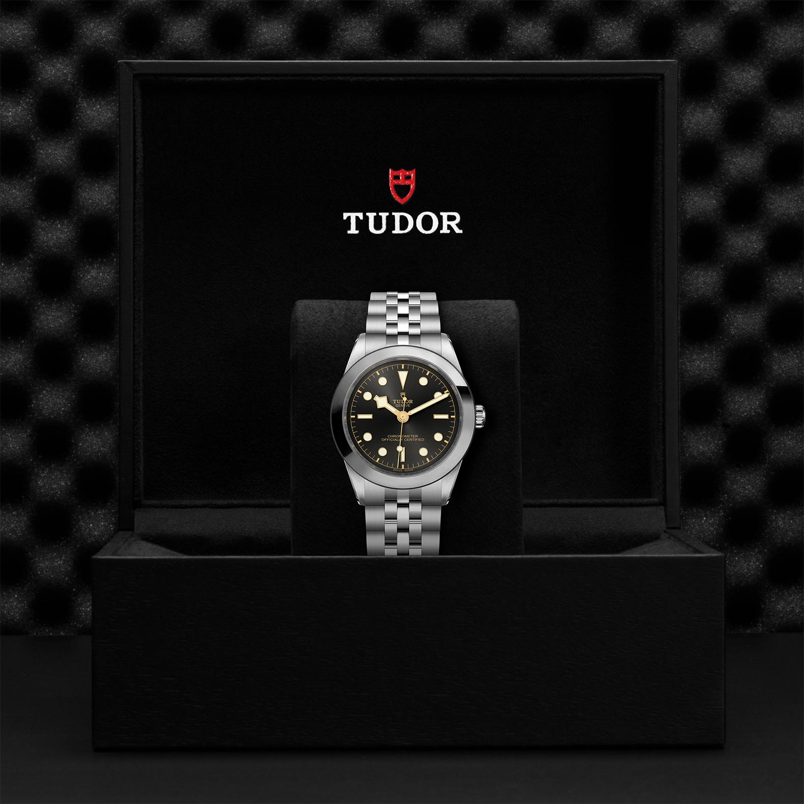 Tudor Black Bay 39 M79660-0001