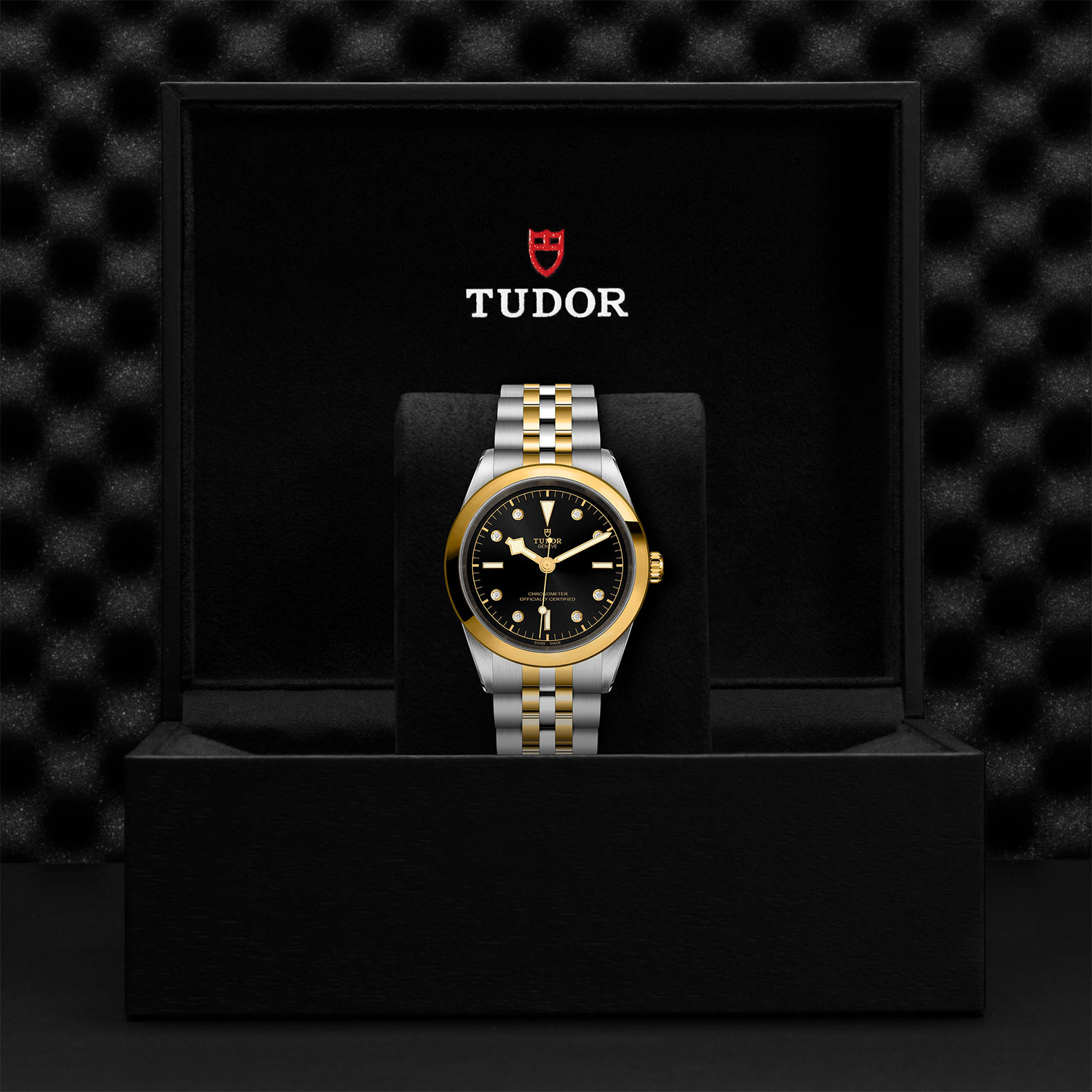 Tudor Black Bay 41 S&G M79683-0006