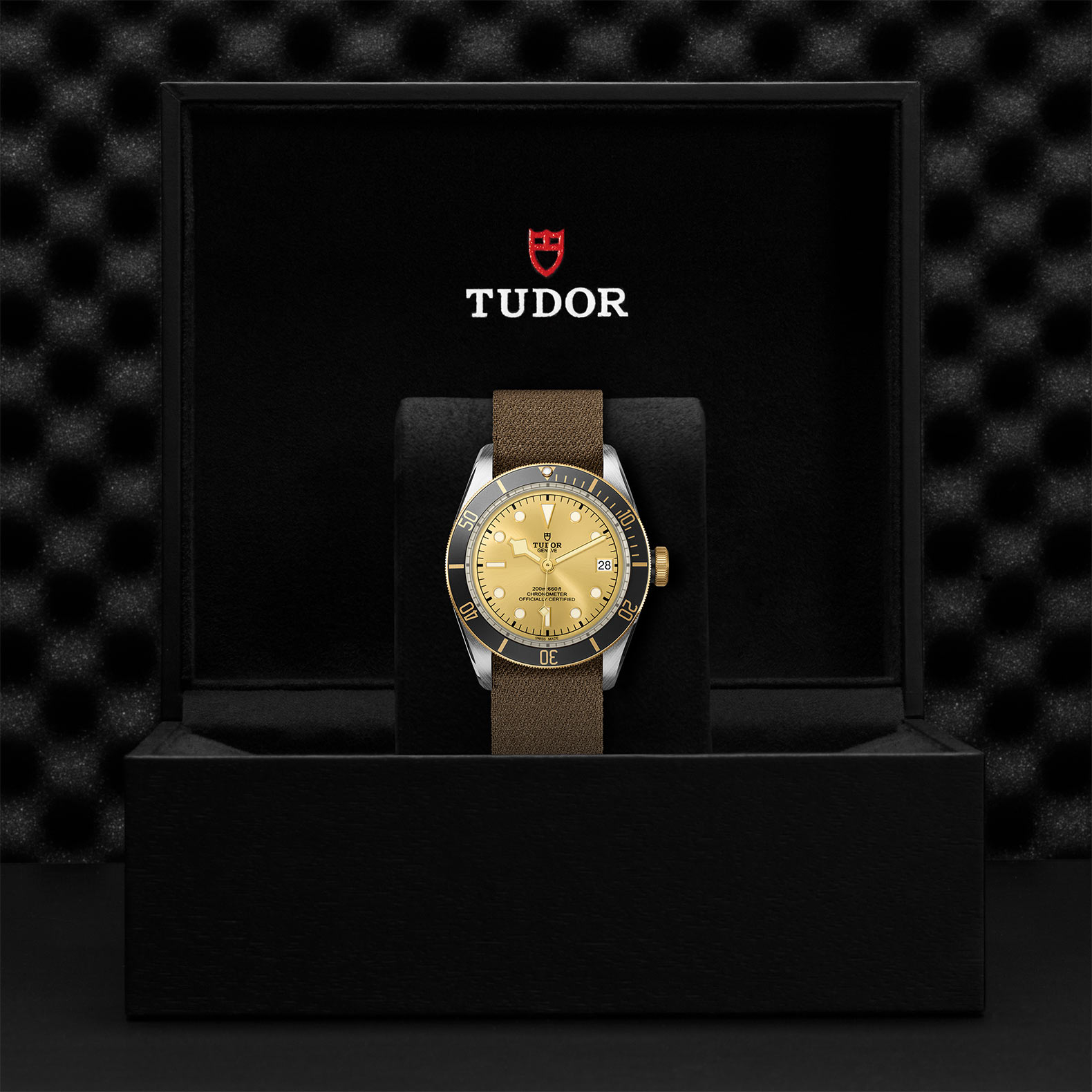 Tudor Black Bay S&G M79733N-0006