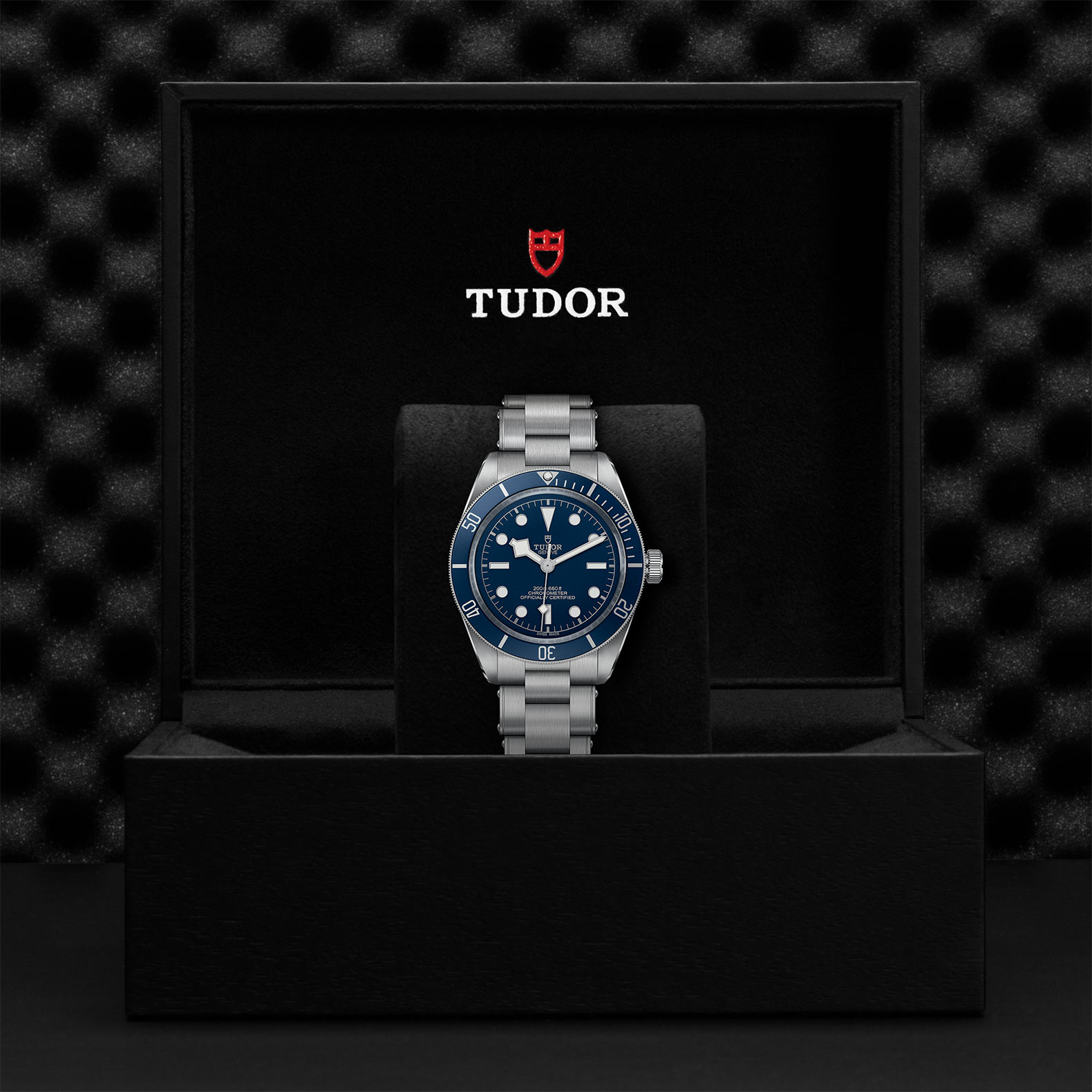Tudor Black Bay 58 M79030B-0001