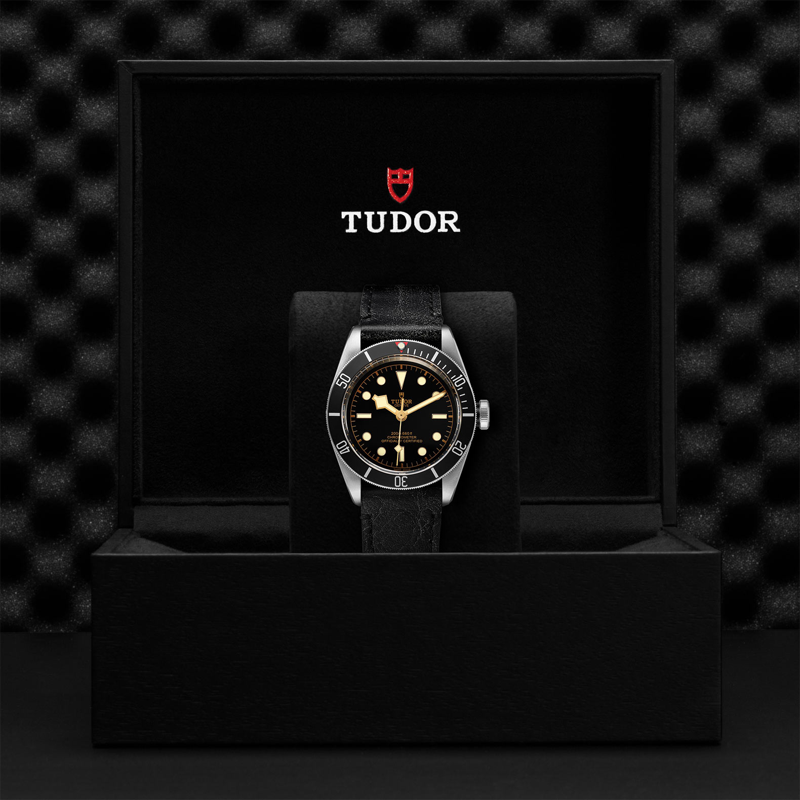 Tudor Black Bay M79230N-0008