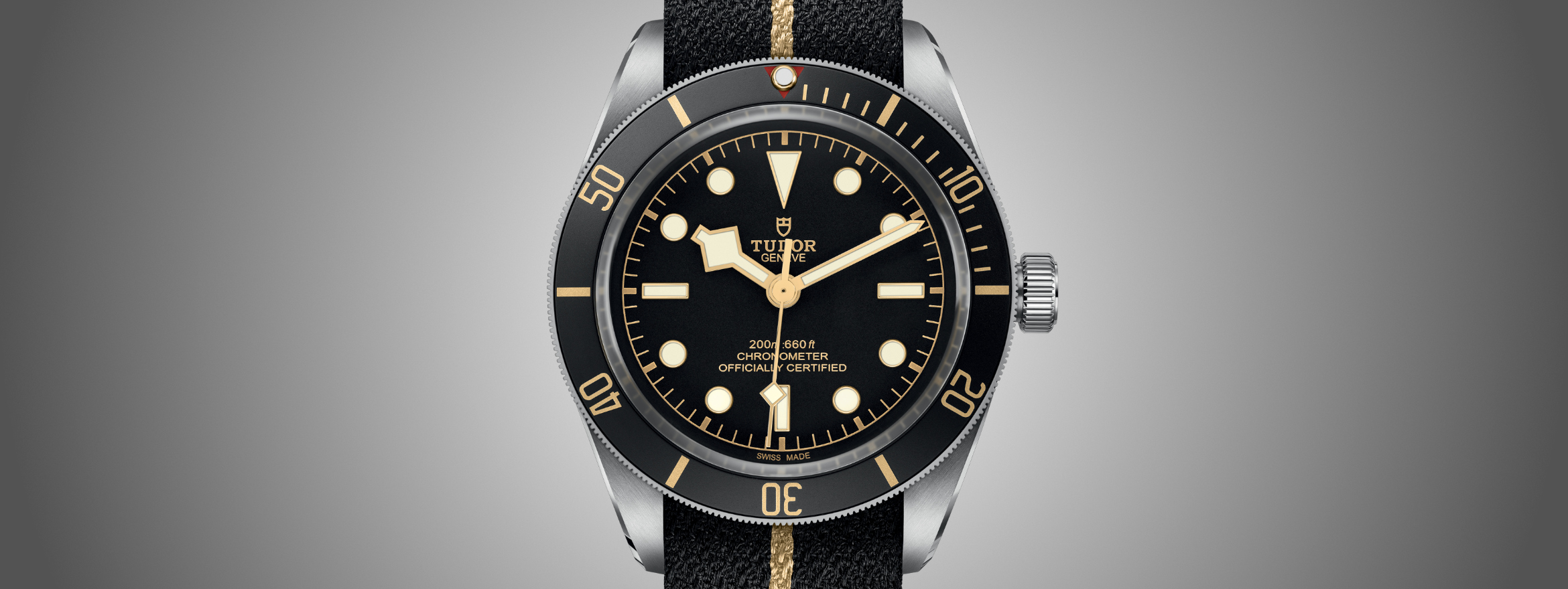 Shields and Roses – Looking at Iconic Modern Tudor Watches