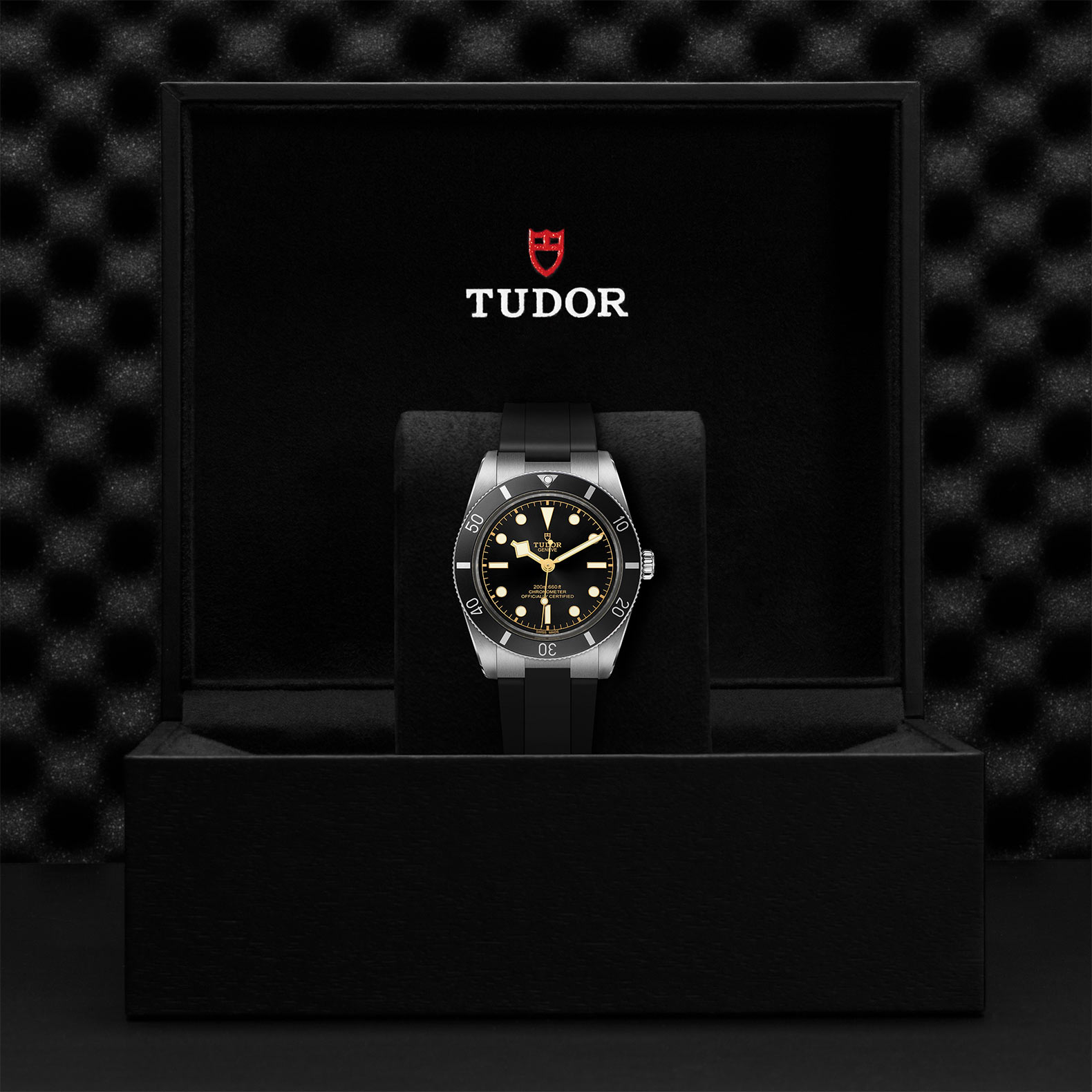 Tudor Black Bay 54 M79000N-0002