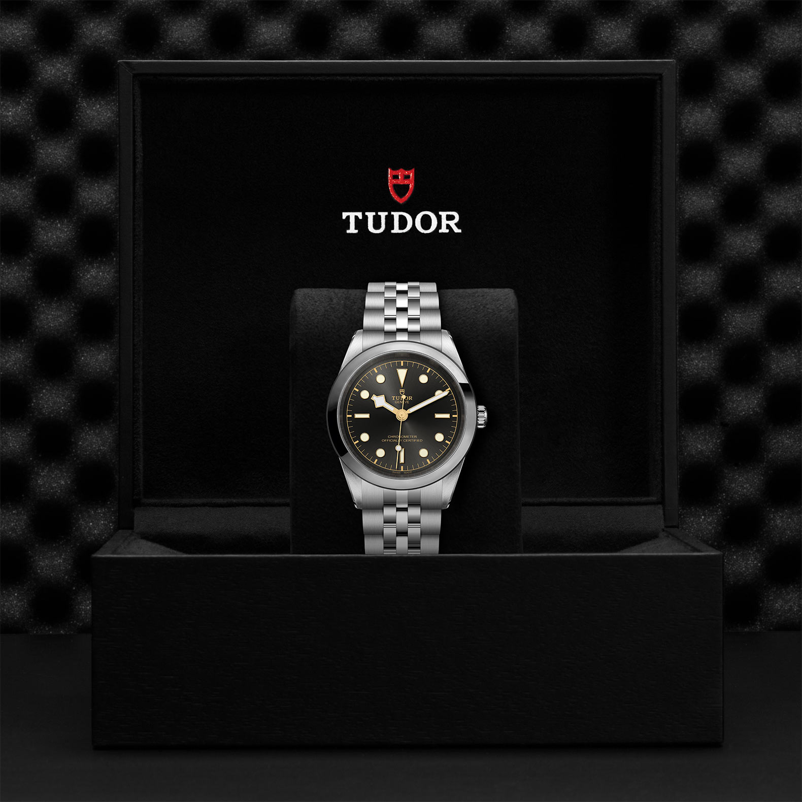 Tudor Black Bay 41 M79680-0001