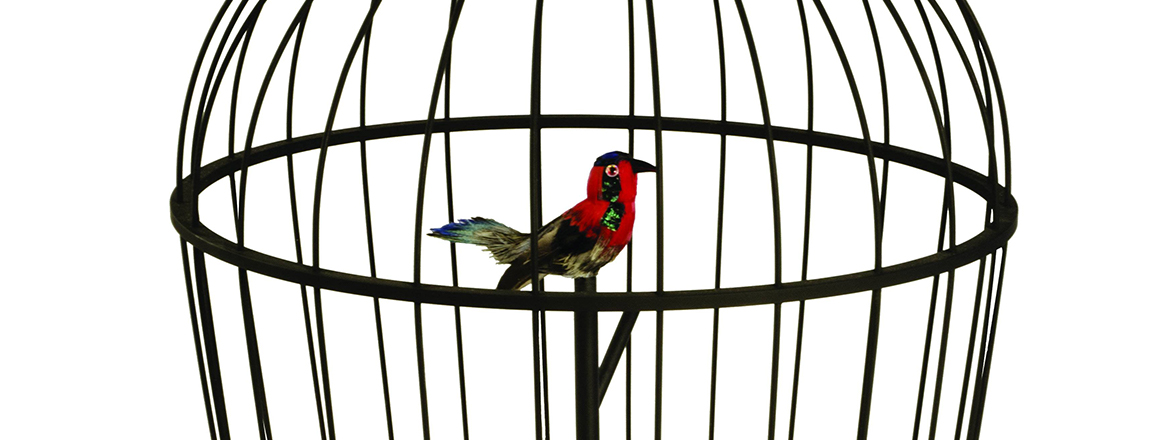 Reuge Proudly Presents The Singapore Singing Bird Cage
