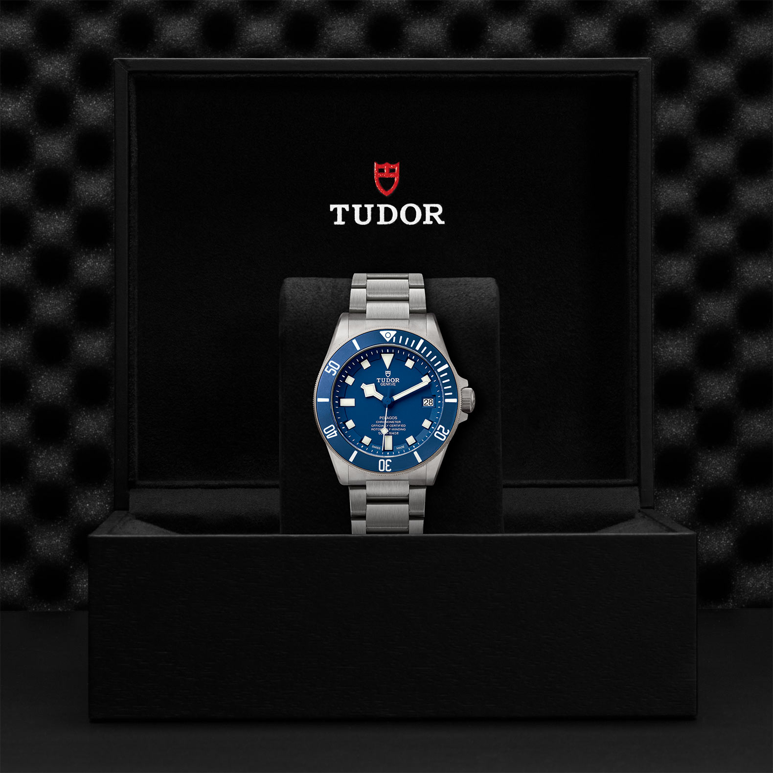 Tudor Pelagos M25600TB-0001