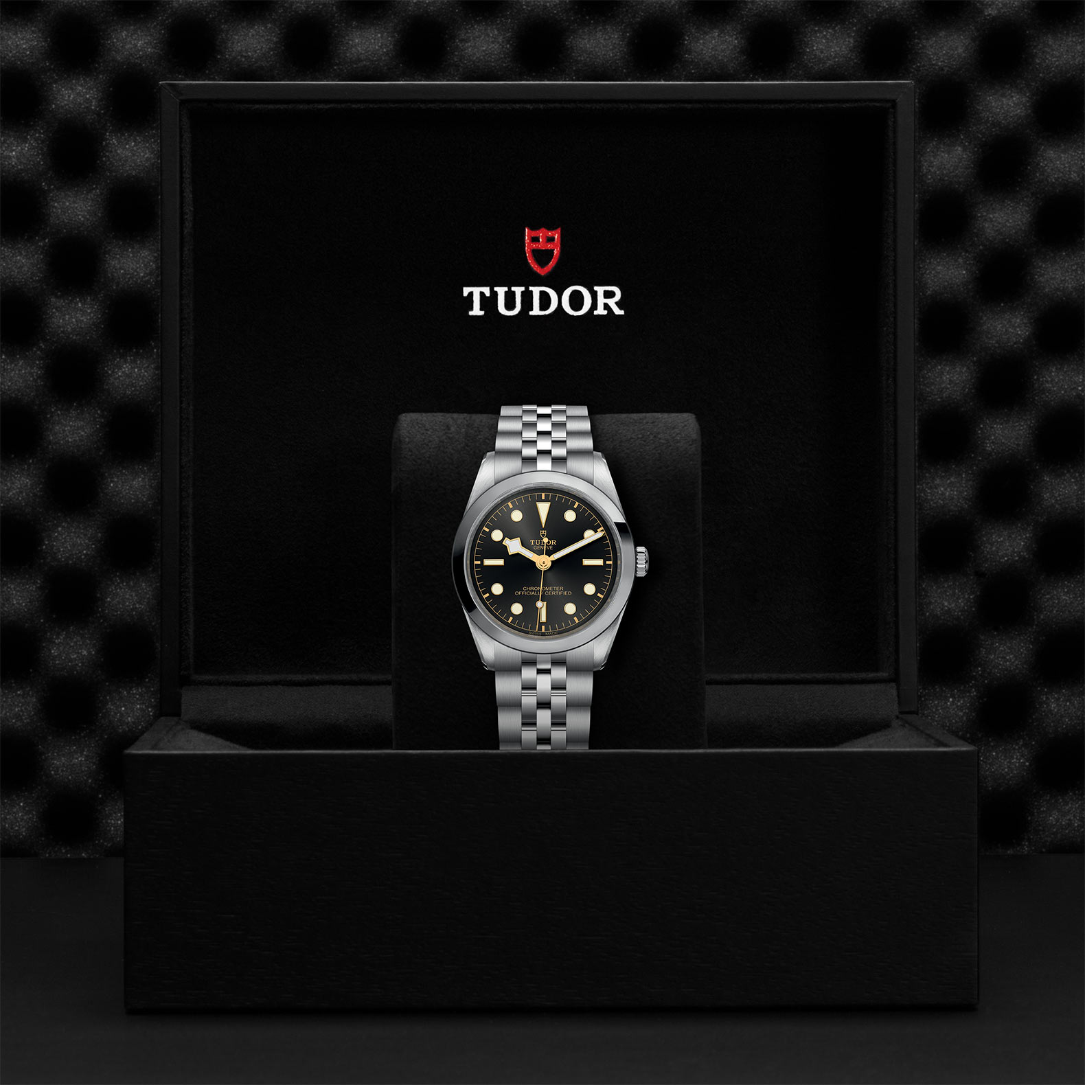 Tudor Black Bay 36 M79640-0001
