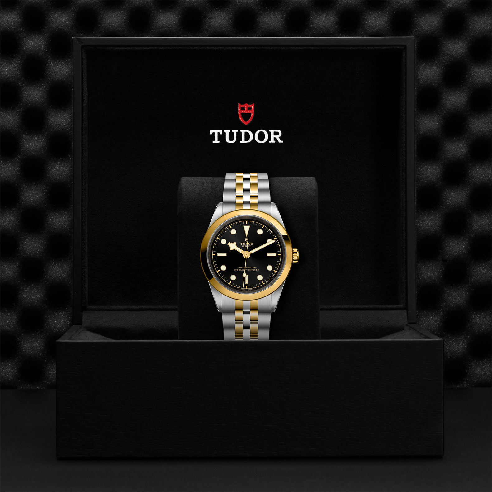 Tudor Black Bay 41 S&G M79683-0001