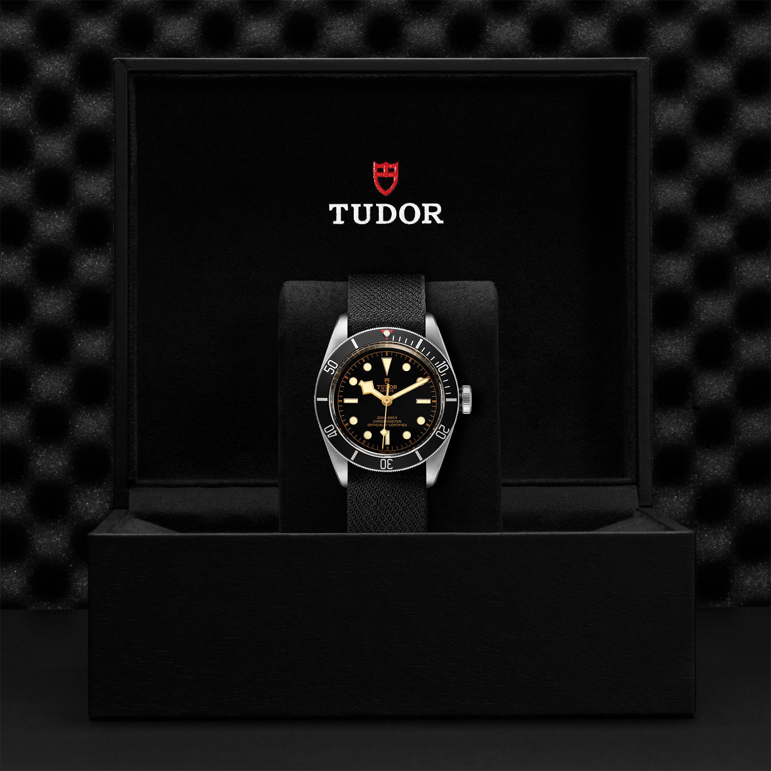 Tudor Black Bay M79230N-0005