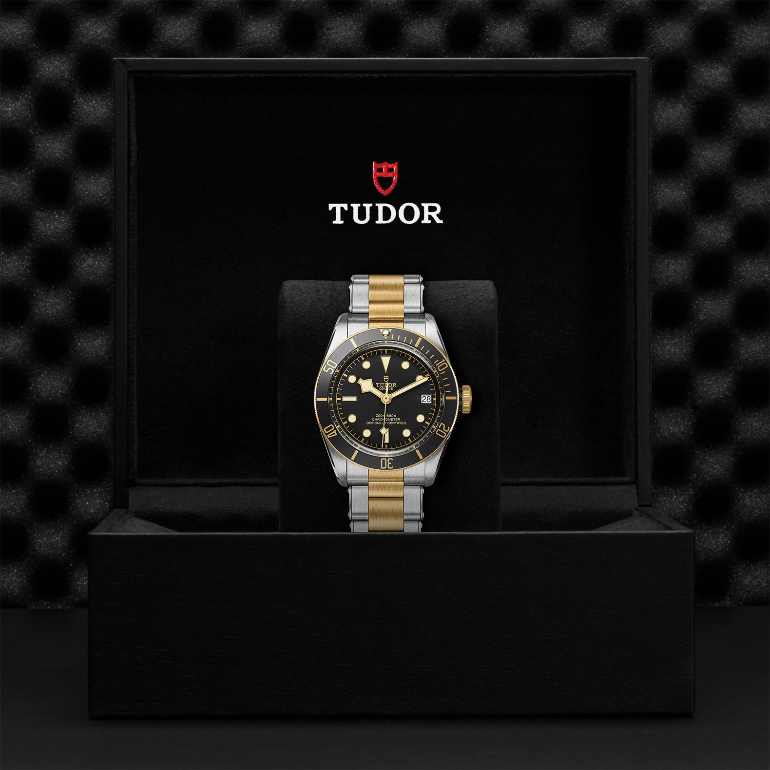 Tudor Black Bay S&G M79733N-0008