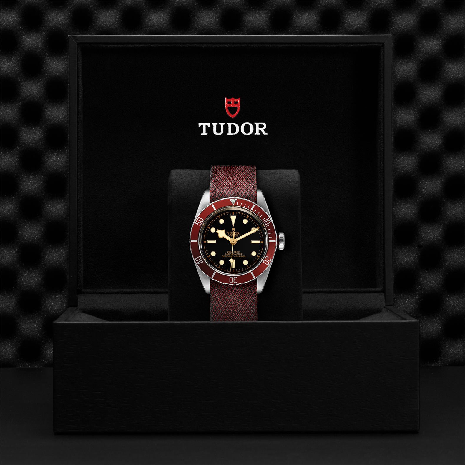 Tudor Black Bay M79230R-0009