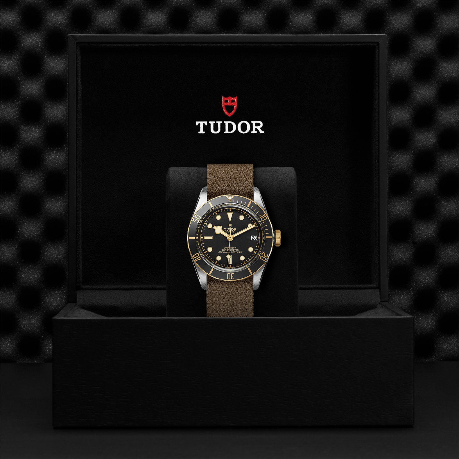 Tudor Black Bay S&G M79733N-0005