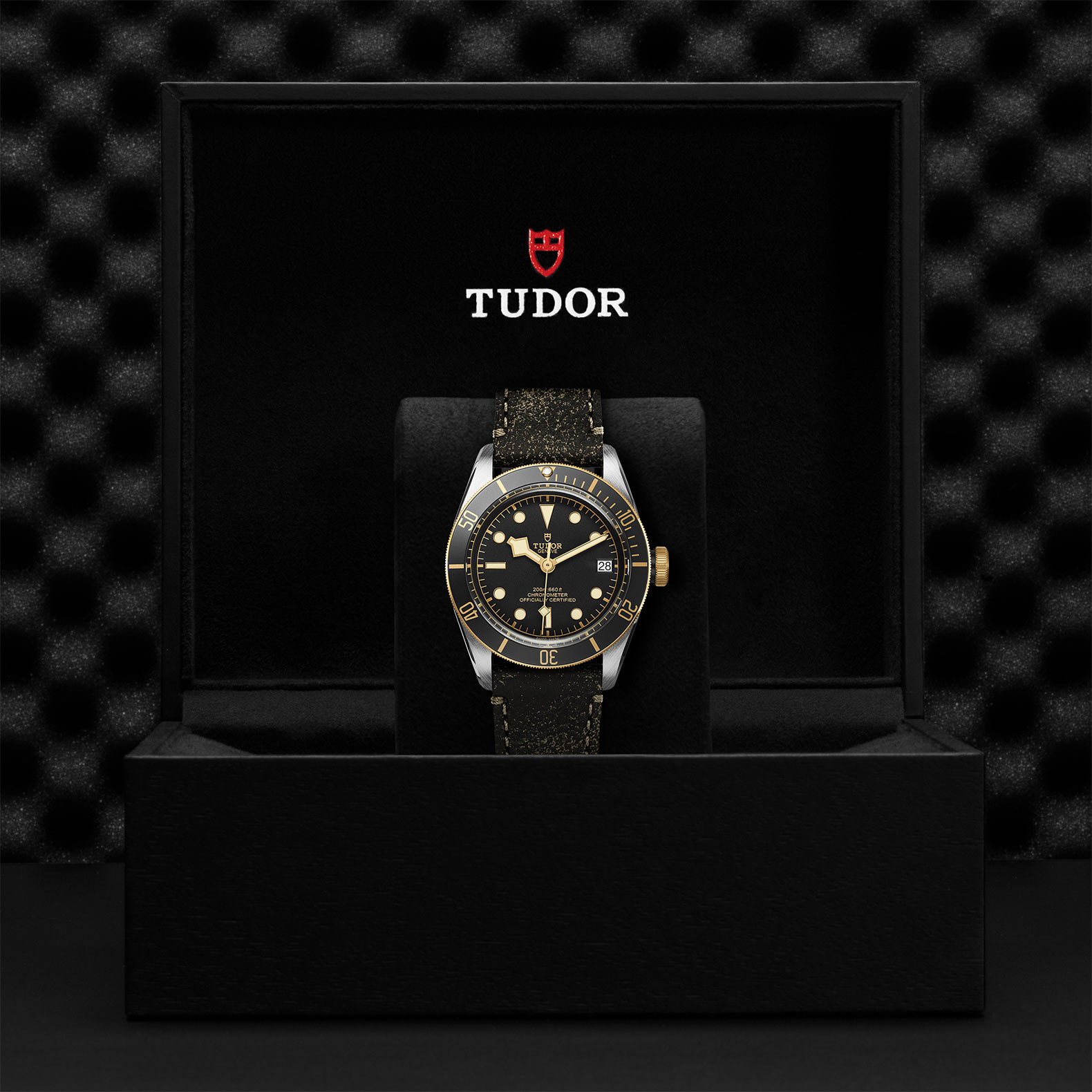 Tudor Black Bay S&G M79733N-0007